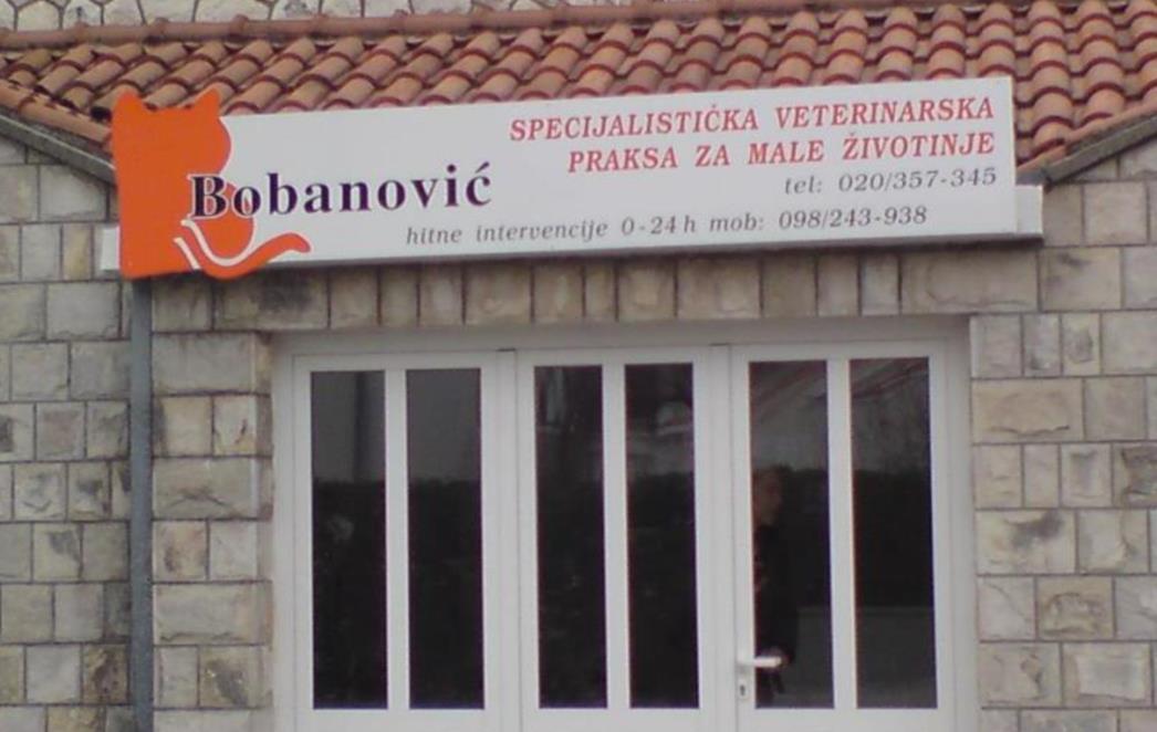 OPREZ! U Dubrovniku nekoliko slučajeva trovanja mačaka