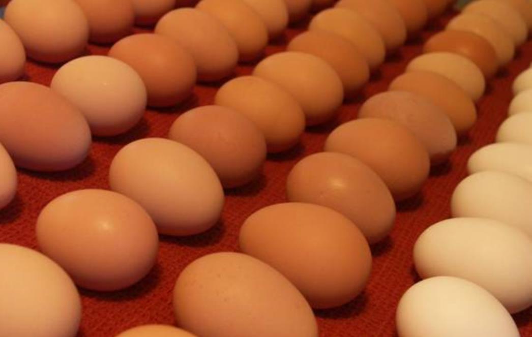 Pogrešni mitovi - jaja nisu loša za srce, mikrovalna nije štetna