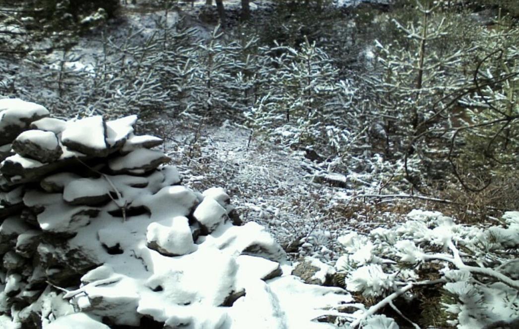 Snijeg pao na Braču i Pelješcu, na Biokovu -13°C