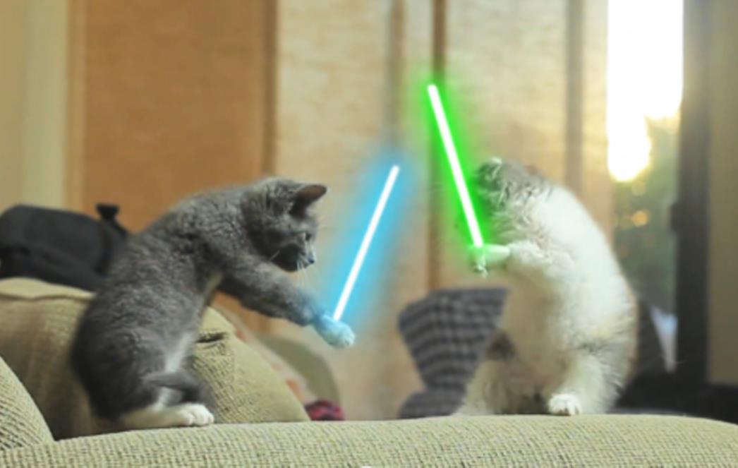 Mačići kao Jedi vitezovi!