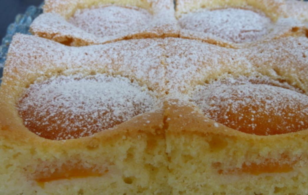 RECEPT DANA: Kolač sa marelicama