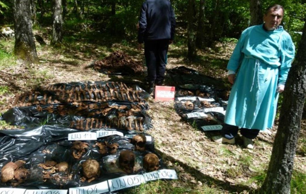 ŠOKANTNA ISTINA O ‘USTANKU U SRBU': Hrvatsku djecu su  živu bacali u Dabinu jamu! 