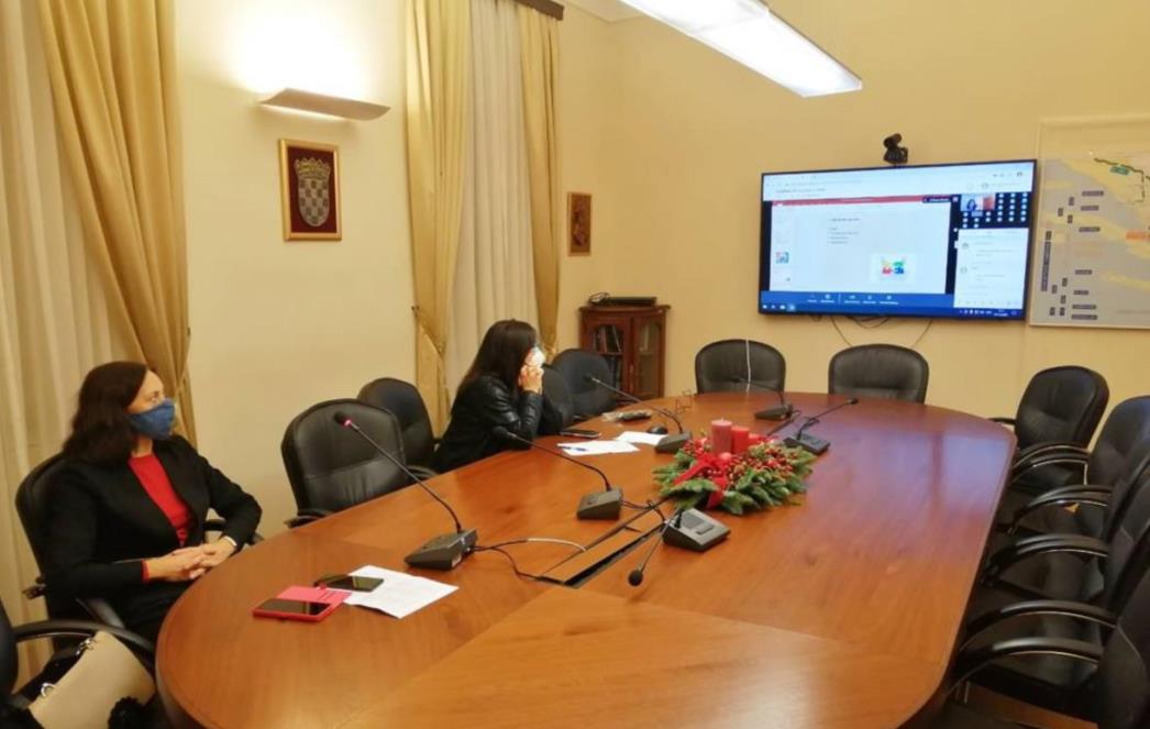Dubrovačko-neretvanska županija organizirala webinar ”Intersektorska suradnja u podršci djeci s teškoćama u razvoju – mogućnosti i rješenja”