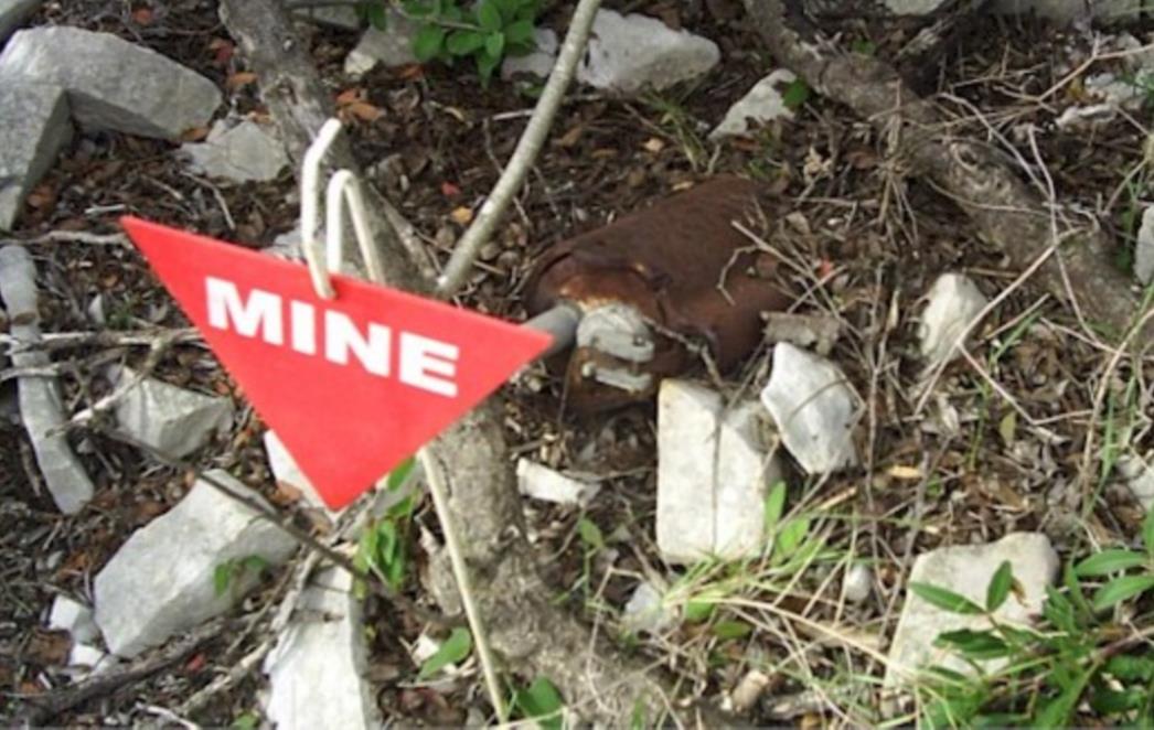 Uništenje minsko-eksplozivnih sredstava na području Lisačkih Rudina u Dubrovačkom primorju