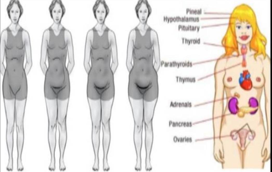 DOBRO PROVJERITE: Ovih sedam znakova upozorava da s vašim hormonima nešto nije u redu!