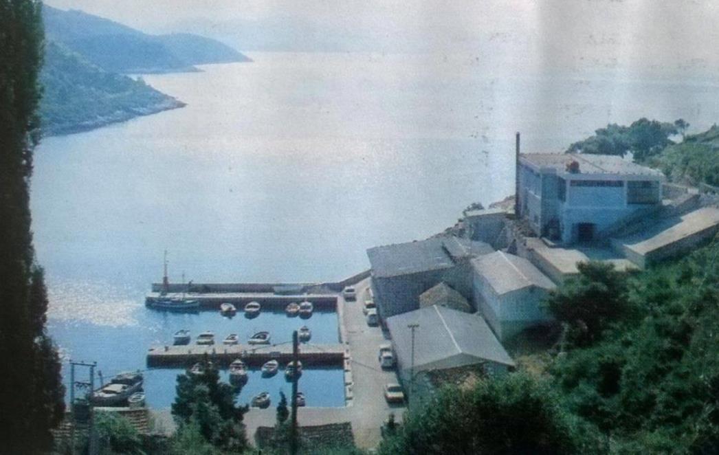Kako je nastala Dalmacijabilje Dubrovnik - pogon Doli