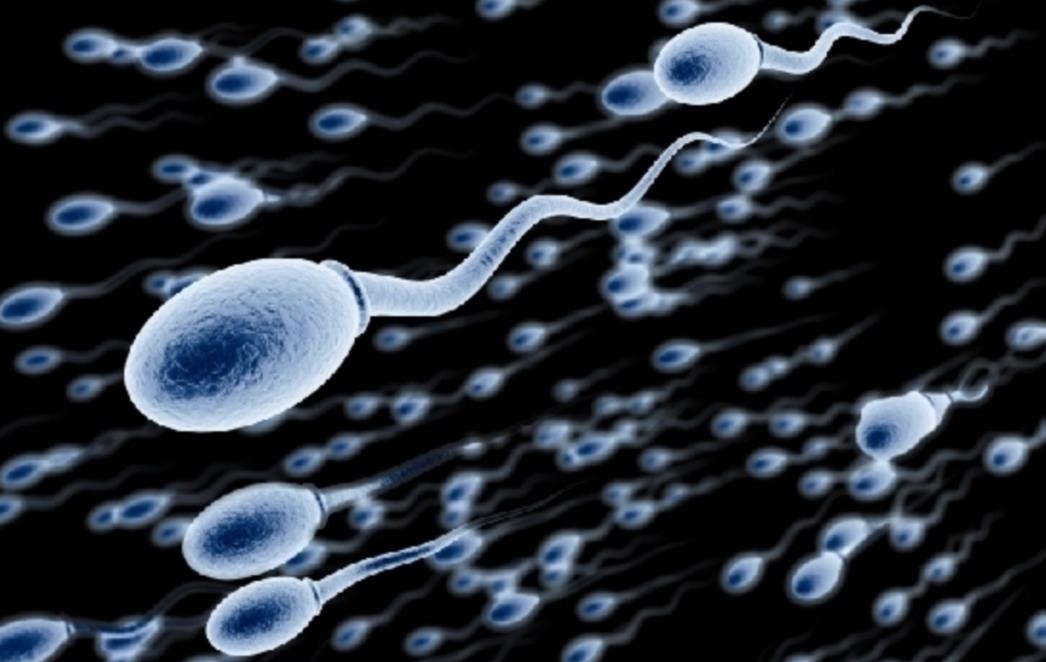 Redoviti odlazak u saunu štetan je za spermije!