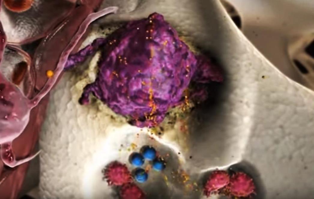 OVA NAMIRNICA HRANI RAK: Izbacite je iz svoje  prehrane!