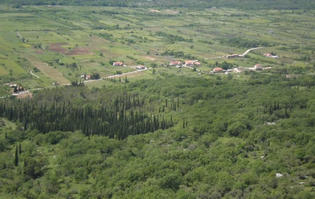 Sufinanciranje  projekta 'zaštita riječne kornjače Mauremys rivulata'