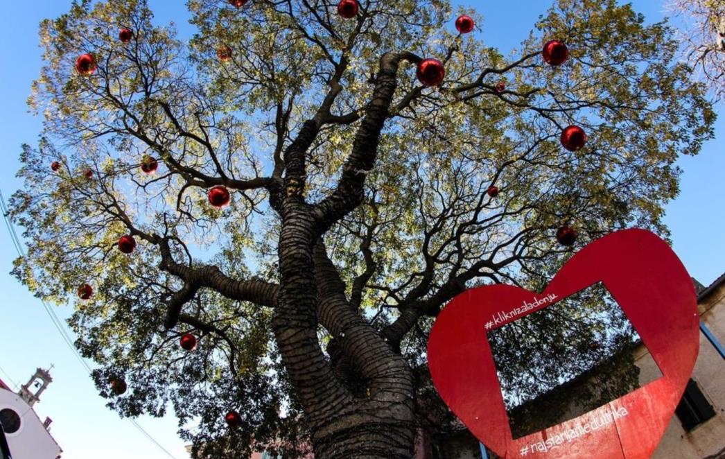 Podržite našeg predstavnika u izboru za Europsko stablo 2021. godine