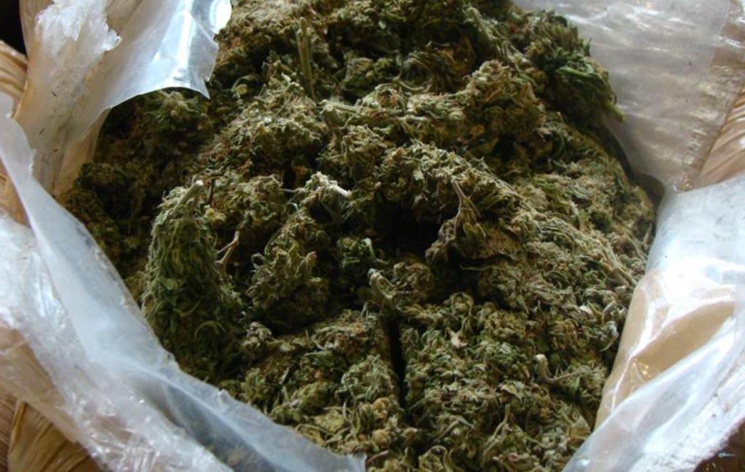 Zaplijenjeno 105 kilograma "skunka" (FOTO)