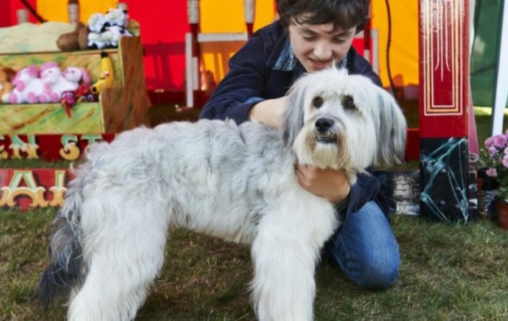 Vodimo vas na film 'Pas Pudsey film' u kinu Sloboda