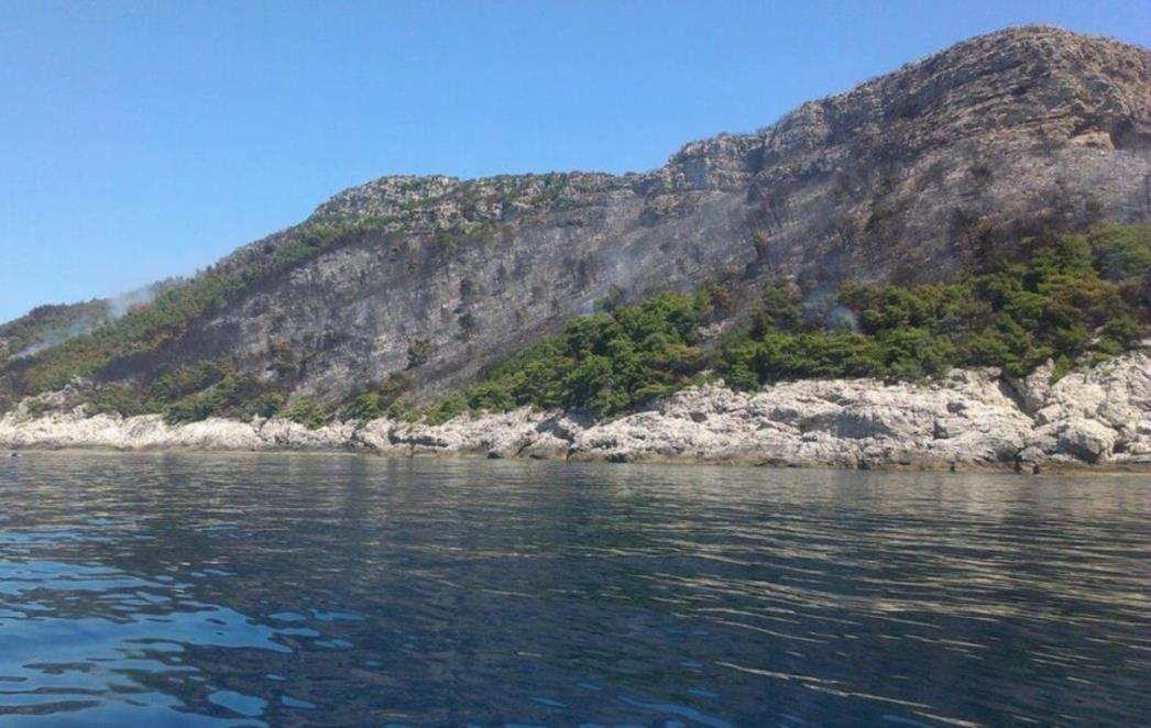 DEŽURA 20ak VATROGASACA: Požar na Olipi pod nadzorom, nema više otvorenog plamena
