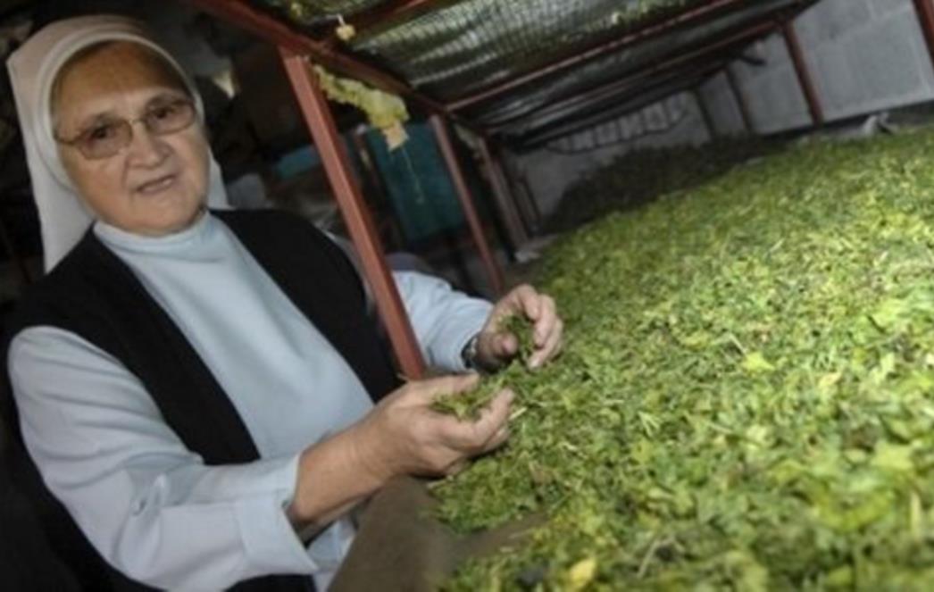  Časna sestra iz Posušja otkrila lijek protiv opasne Escherichie coli! 