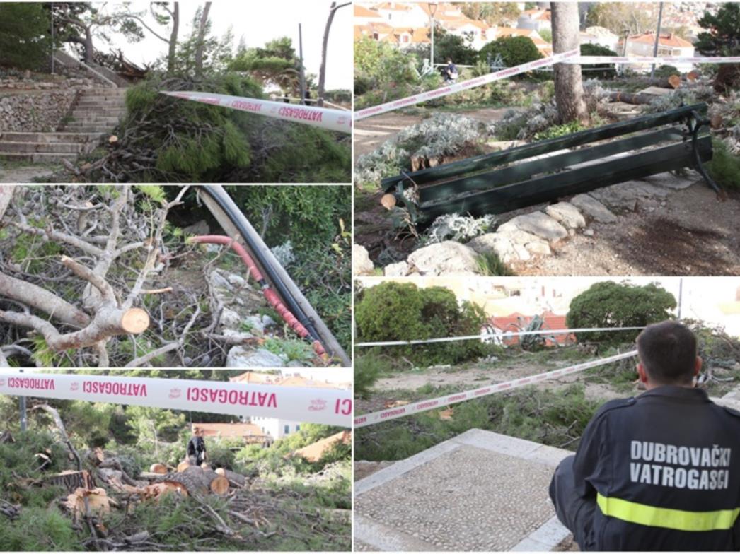 Nevrijeme u Dubrovniku rušilo grane, stabla, stupove od struje, klupe