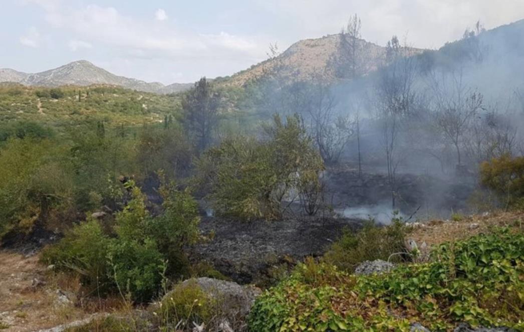 VATROGASNA INTERVENCIJA Izbili požari na Mljetu i Vela Luci