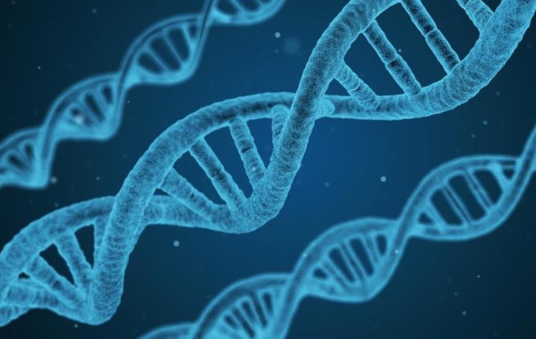 Veliki uspjeh riječkih znanstvenika:   Otkrili      novi   virusni protein   važan u borbi protiv tumora