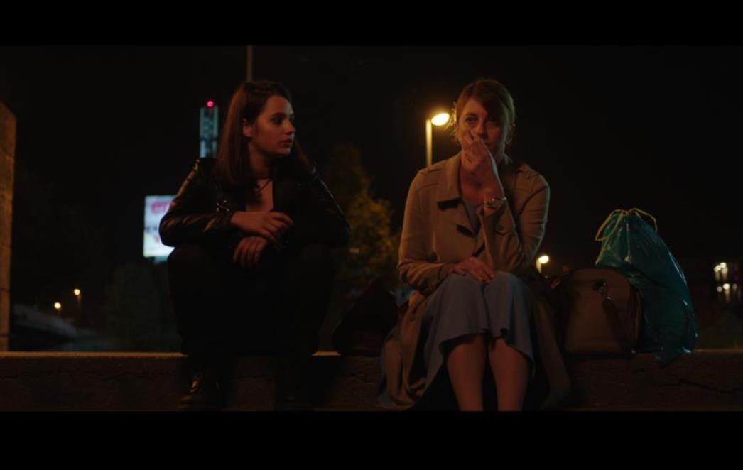 Najbolji domaći film s Pulskog filmskog festivala „Plavi cvijet“ na 72. Igrama
