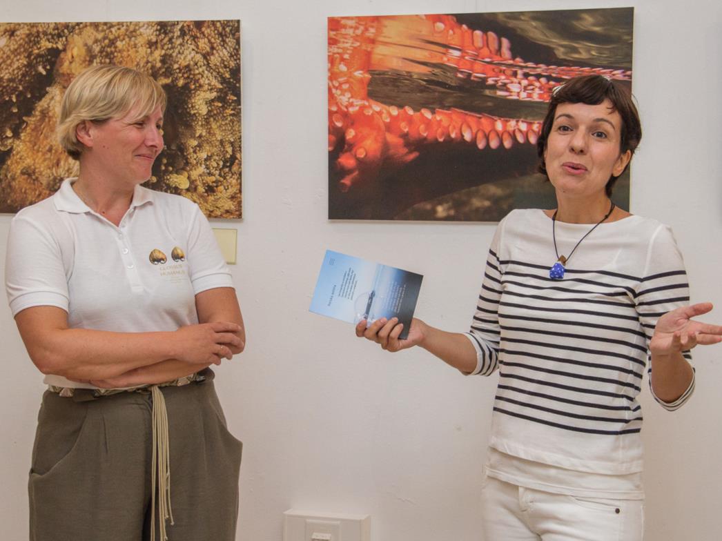 Otvorena morska izložba fotografija Ines Miljan Popović