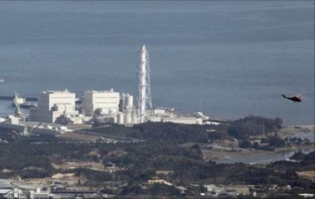Japanska vlada traži klanje stoke oko Fukushime
