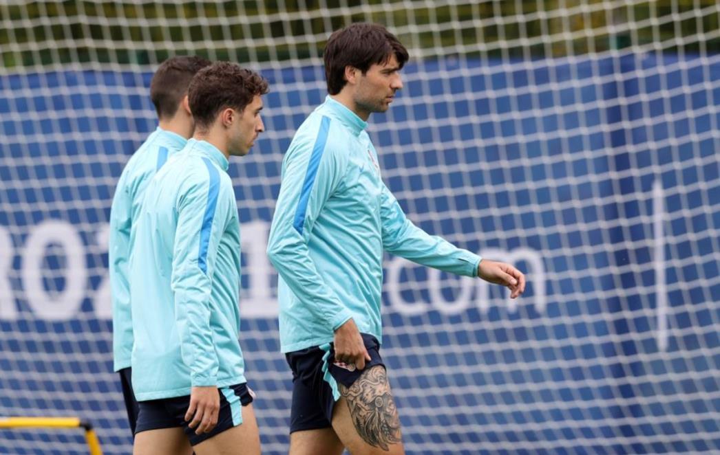 Ćorluka se vratio treninzima, Srne još nema