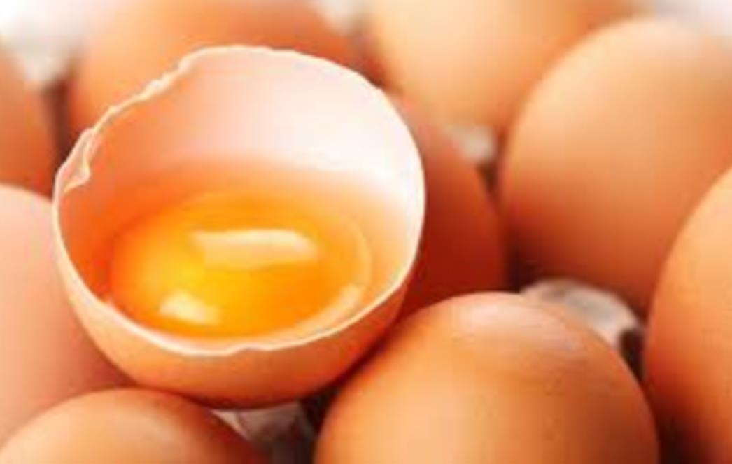 Ako se nešto hitno ne učini Hrvatska će ostati bez jaja - doslovno!