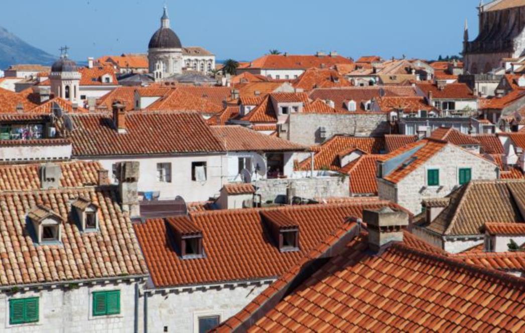 Ljetna škola o moždanom udaru u Dubrovniku