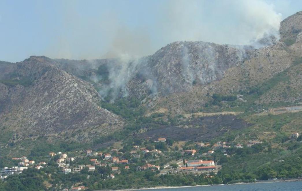 Požar u Platu ugašen, opožareno 450 hektara trave i niskog raslinja (FOTO/VIDEO)