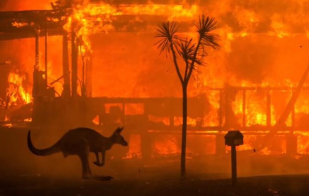 TUGA I APOKALIPTIČNI PRIZORI U AUSTRALIJI 'Ovo nije strahoviti požar, ovo je atomska bomba' (FOTO)