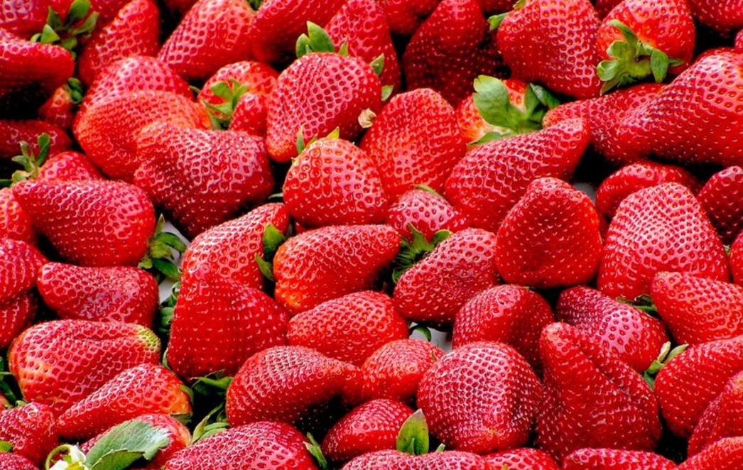 JEZIVA ISPOVIJEST MLADE MAJKE S PLANTAŽE JAGODA Proživljavala seksualno i fizičko nasilje