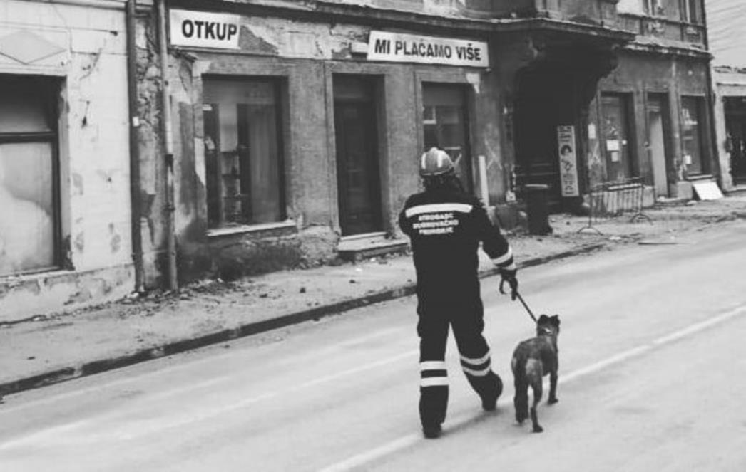 OVČARKA ALISA: Potražni pas otrovan u Slanom!