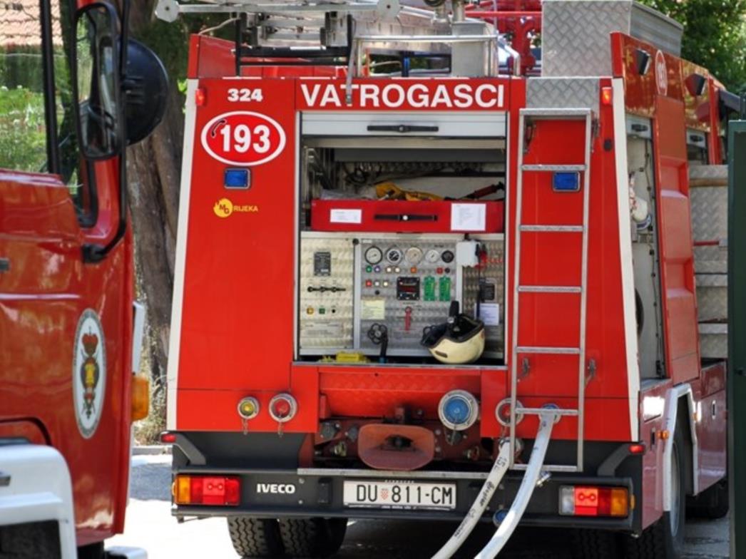 Srušilo se stablo na dva auta u Mokošici