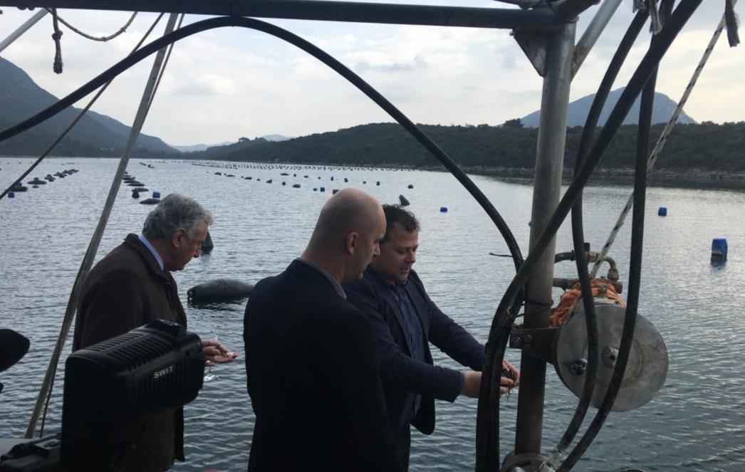 Ministar Tolušić proizvođačima   u okolici Stona: 'Ovaj poljoprivredni potencijal možemo i moramo  iskoristiti'
