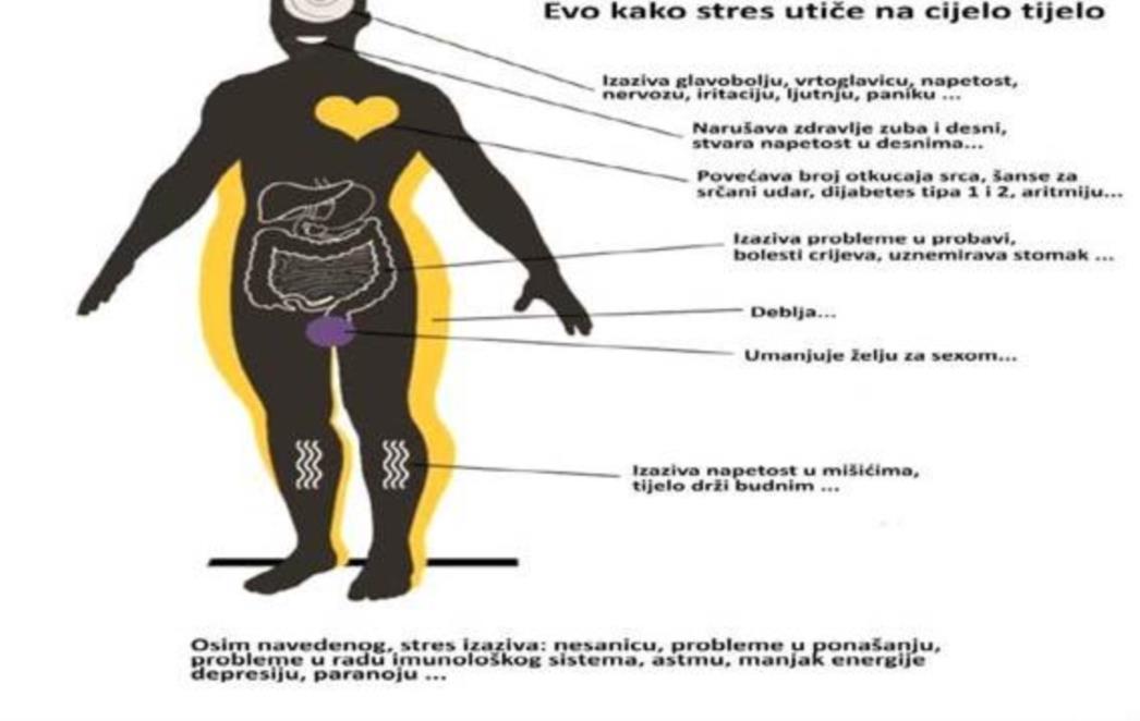 INFOGRAFIKA: Pogledajte na koje sve dijelove tijela negativno utječe stres 