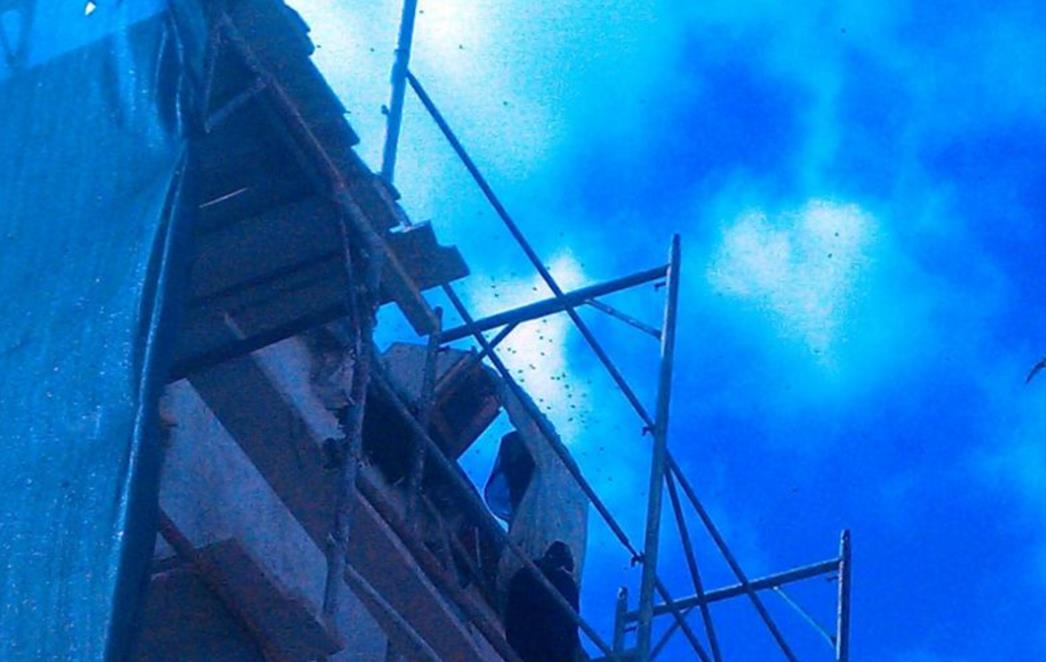 DUBROVAČKI VATROGASCI U AKCIJI: Roj pčela na Zelenoj placi, zovi vatrogasce