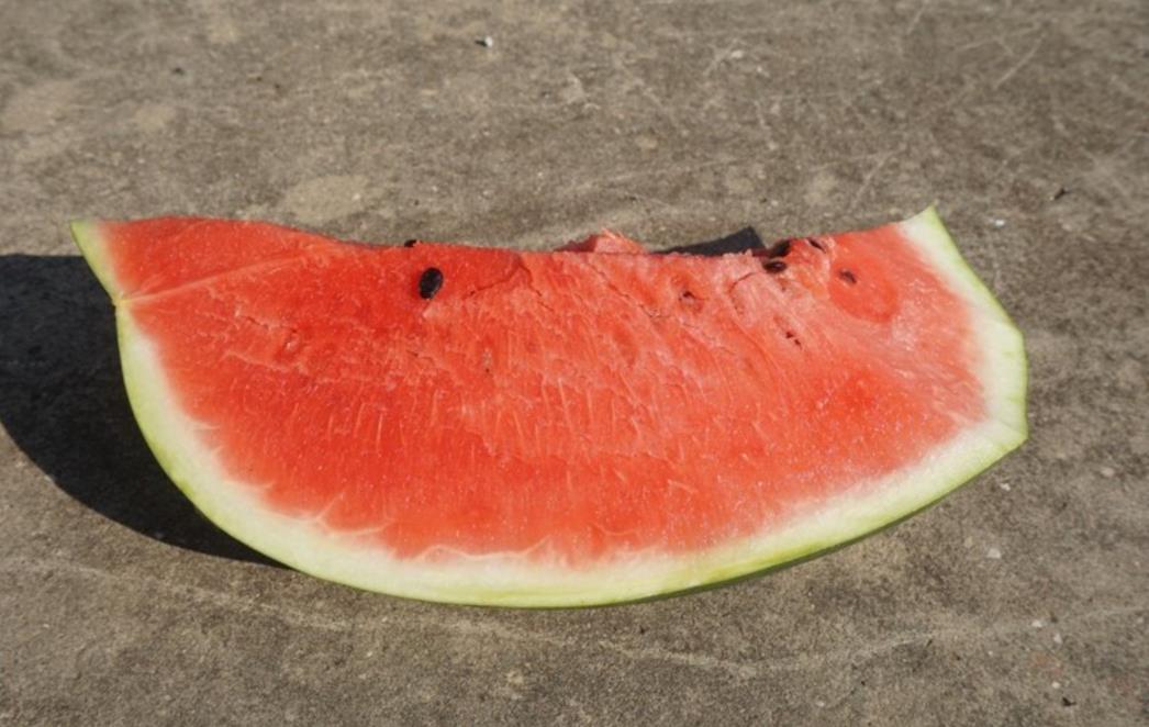 Tri brzopotezna trika za prepoznavanje zrele i slatke dinje bez prerezivanja