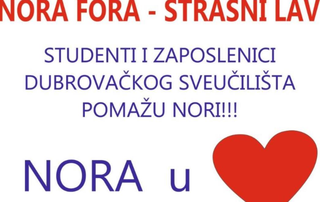 I Sveučilište u Dubrovniku uz malu Noru
