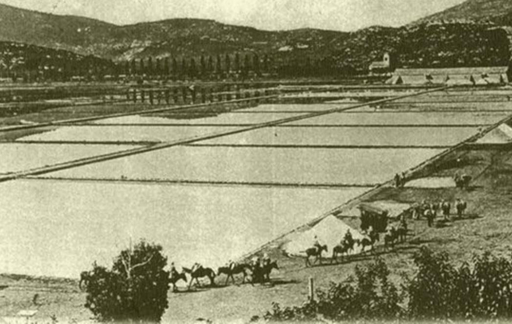 IZ POVIJESTI: Izgradnja stonske solane 1910. godine