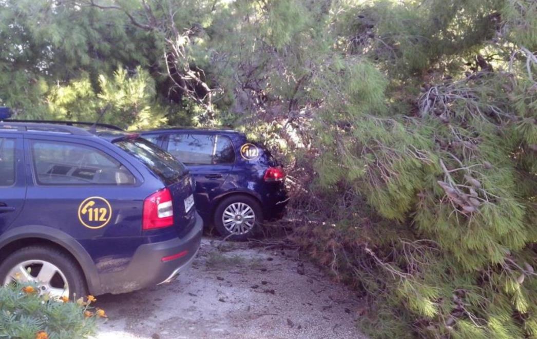 KIŠA I BURA OHLADILE DALMACIJU:  Jak vjetar rušio stabla po Dubrovniku, materijalna šteta na vozilima i objektima! /FOTO/