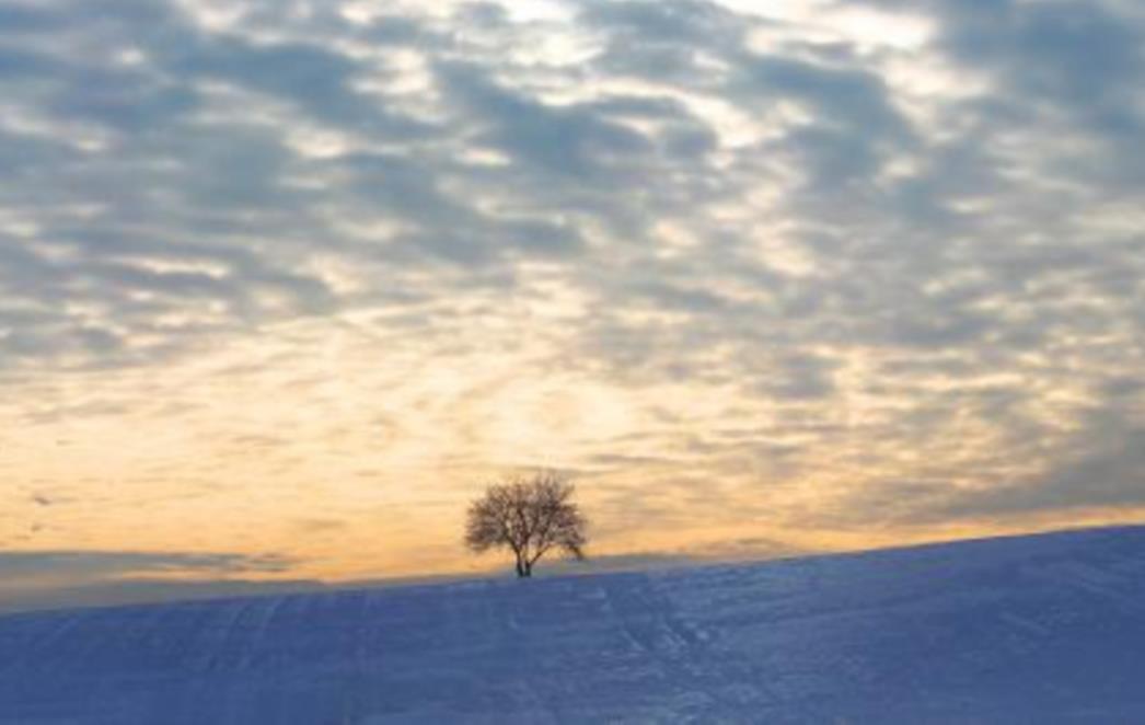 FOTOGRAFIJA DANA: Idiličan zalazak sunca