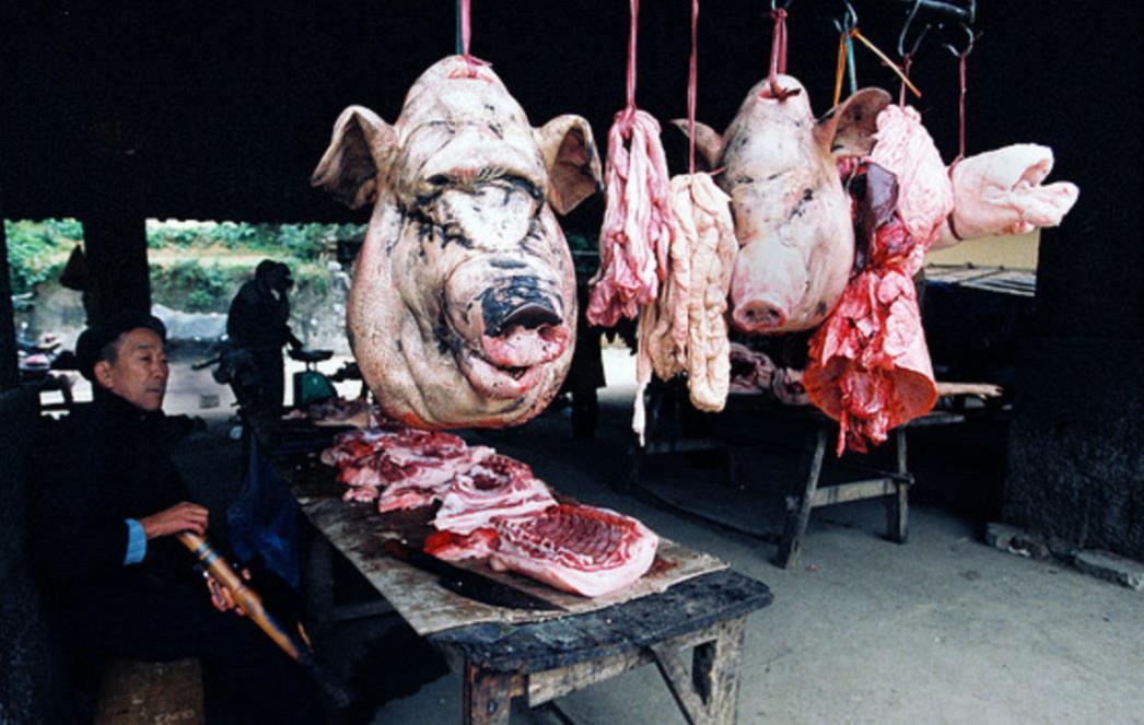 Ovaj video i fotografije pretvorit će vas u vegetarijanca (VIDEO)