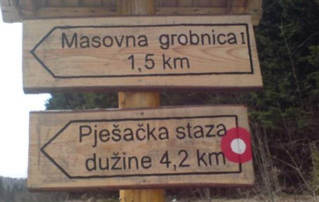 Bosanski praznik nezavisnosti: Tvoji najveći sinovi stide se tvoga imena
