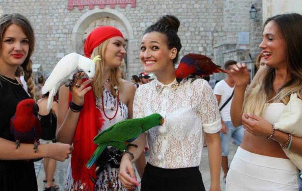 ANKETA: Kakvi su komentari o Izboru za miss Dubrovačko-neretvanske županije