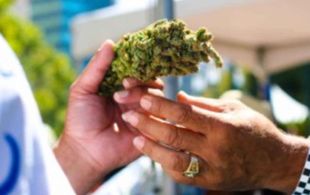 Marihuana ublažava simptome multiple skleroze