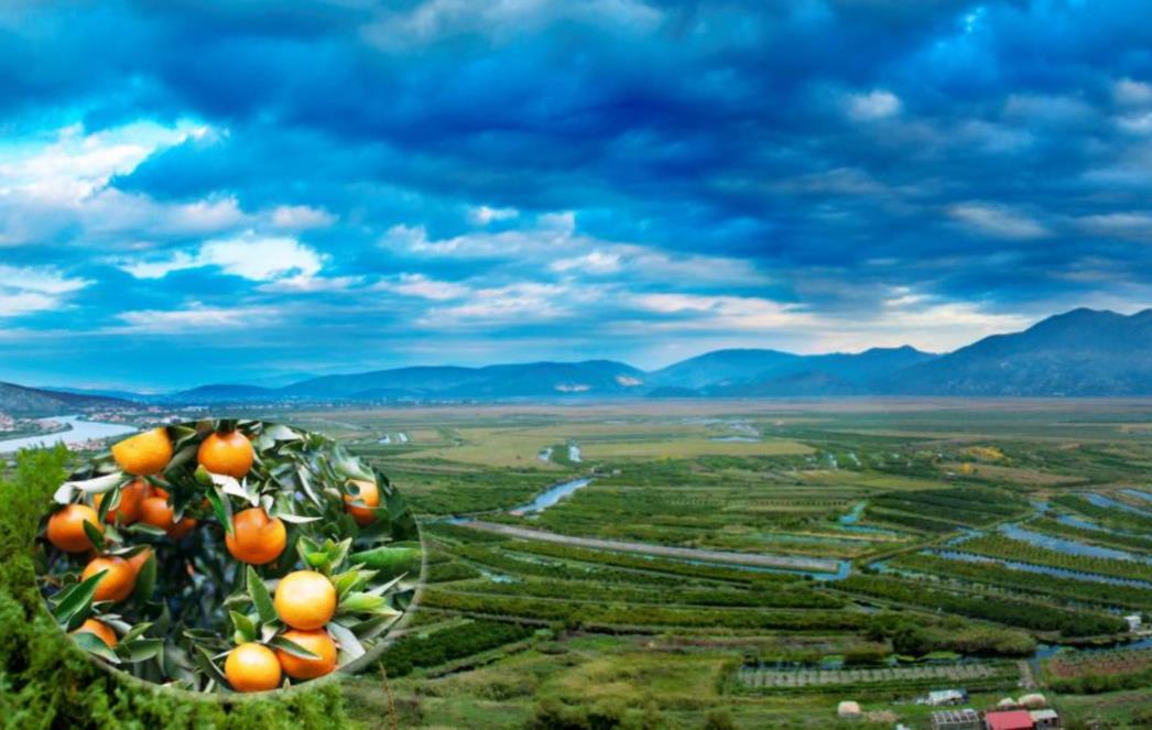 VRIJE NERVOZA U DOLINI NERETVE? Moraju li na darovane mandarine platiti PDV, pitaju voćari, a Porezna uprava šuti