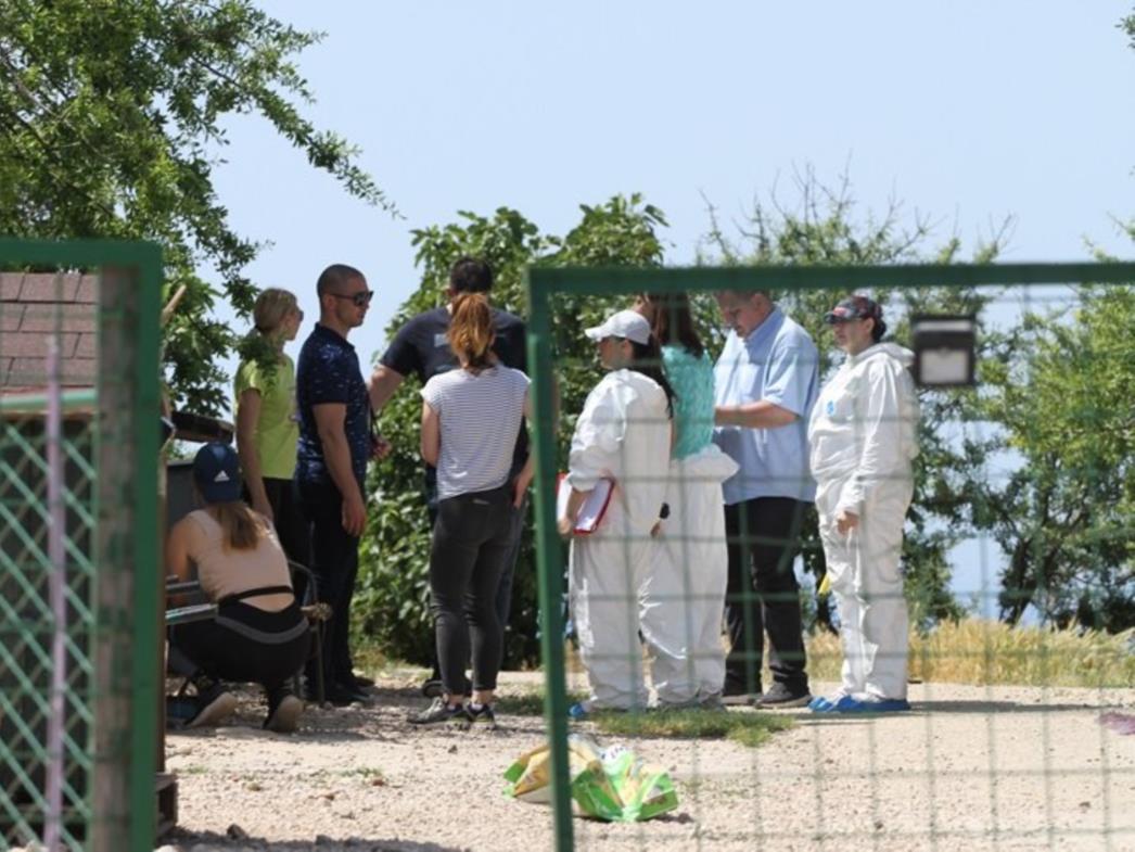 GRAD DUBROVNIK SLUŽBENO O AZILU: Navedeno postupanje tijela potaknuto je prijavom dijela volontera, a ne Grada