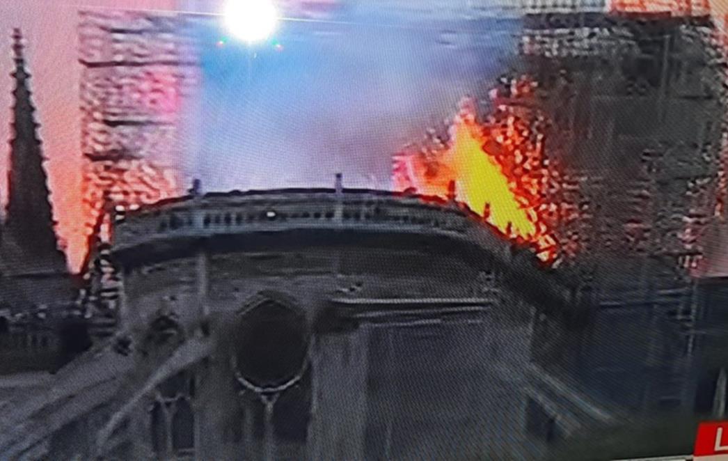 ČUDO NA UNIŠTENOM KROVU CRKVE NOTRE-DAME Pčele u košnicama na čuvenoj katedrali preživjele stihiju