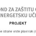 Poziv na dostavu ponuda za festival plavog raka u Stonu