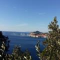 Požar  u  povijesnoj jezgri  Dubrovnika iz objektiva čitatelja /FOTO/