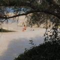 VIC DANA: Mujo i Fata planiraju vikend